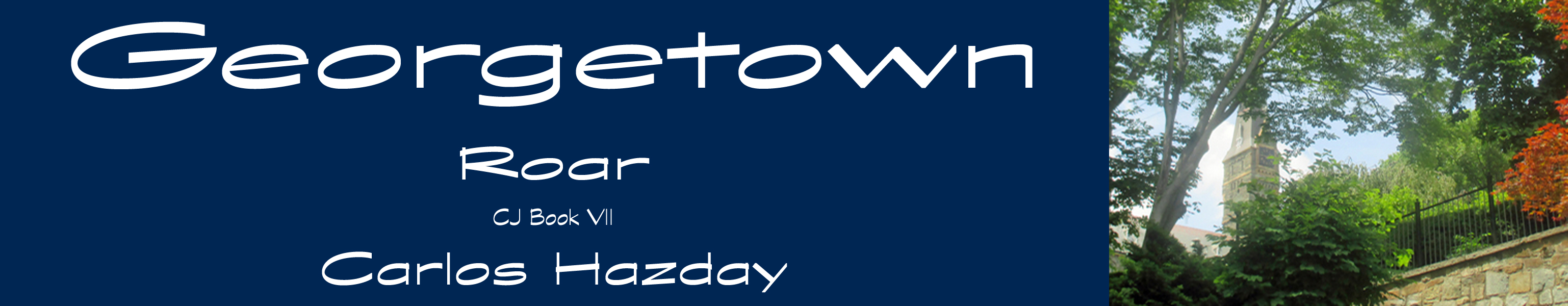 Georgetown Roar Banner